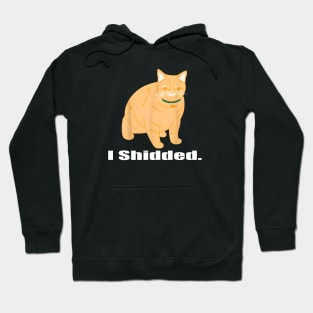 I Shidded Funny Cat Lover Hoodie